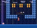 Mario Forever world 3 walkthrough