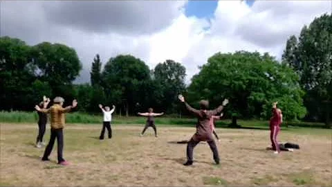 Urban Qi Gong Amsterdam - Ba Duan Jin (Eight Broca...