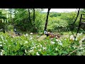 山仕事。好きな道具にかこまれてモチベを上げて働く。憧れの存在と季節の移ろい。Work with motivation surrounded by your favorite tools.