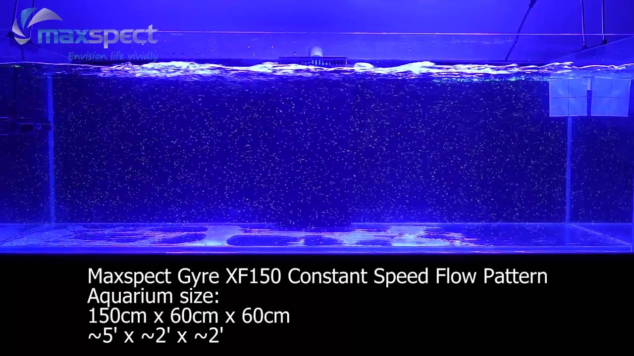 maxspect gyre xf150 flow pattern youtube
