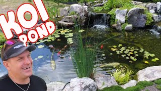 KOI POND with Wetland Filtration screenshot 5