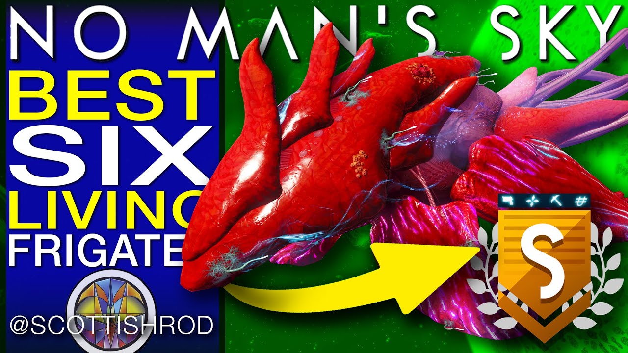 The Best Six S Class Living Frigate Trade Industrial Combat No Man s The Best Six S Class Living Frigate Trade Industrial Combat No Man s