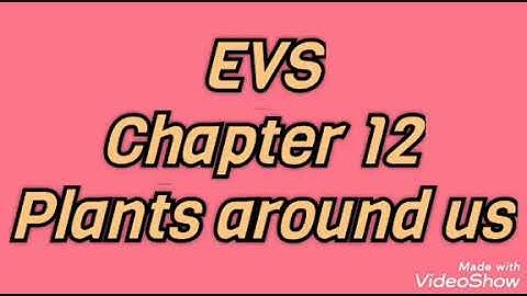 EVS | Class 2 | Chapter 12.1 | Plants around us