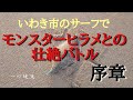 座布団ヒラメいわき市サーフ