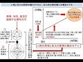 「民間が所有する中央銀行ＦＲＢの新人事　・任命権がある政府に通貨発行権がない理由　・国際銀行権力が世界を欺く特殊な方法」　１１月のブログ記事の解説　１７年１２月２日　真民会