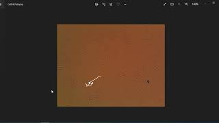 Cell tracking software to analyze cell motion - Biomedical Engineering at George Fox screenshot 1