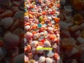 Rainbow Shell Beach Appears Once a Year! 🐚🌈