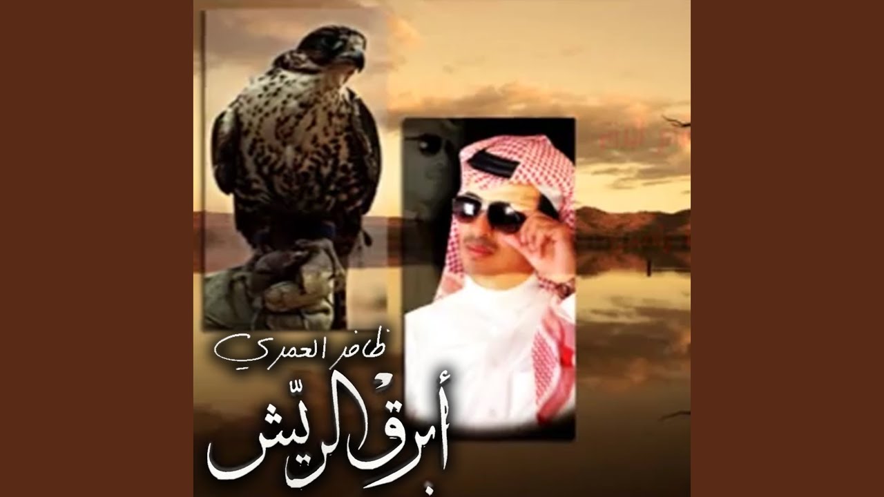 أبرق الريش