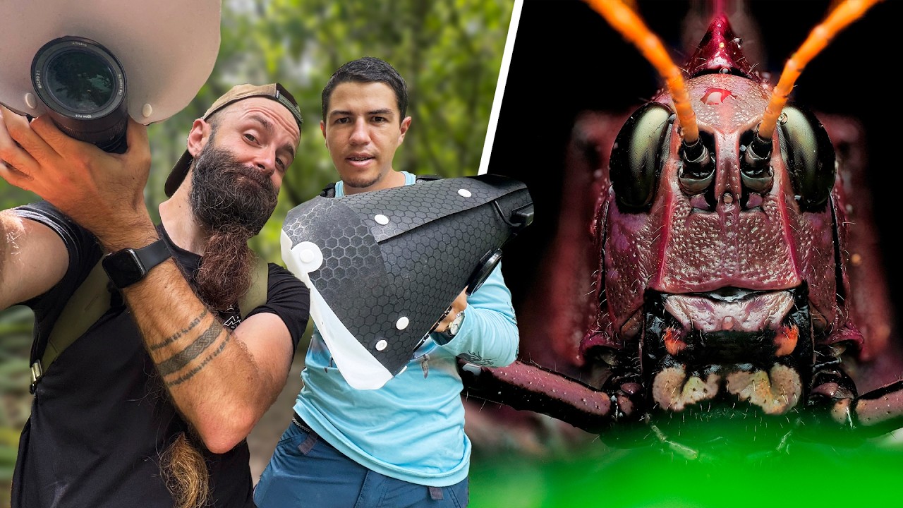 Así es fotografiar BICHOS de MUY CERCA