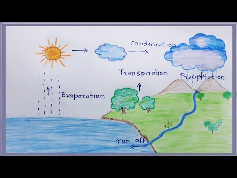 Video: Hvad betyder ordet hydrologisk?