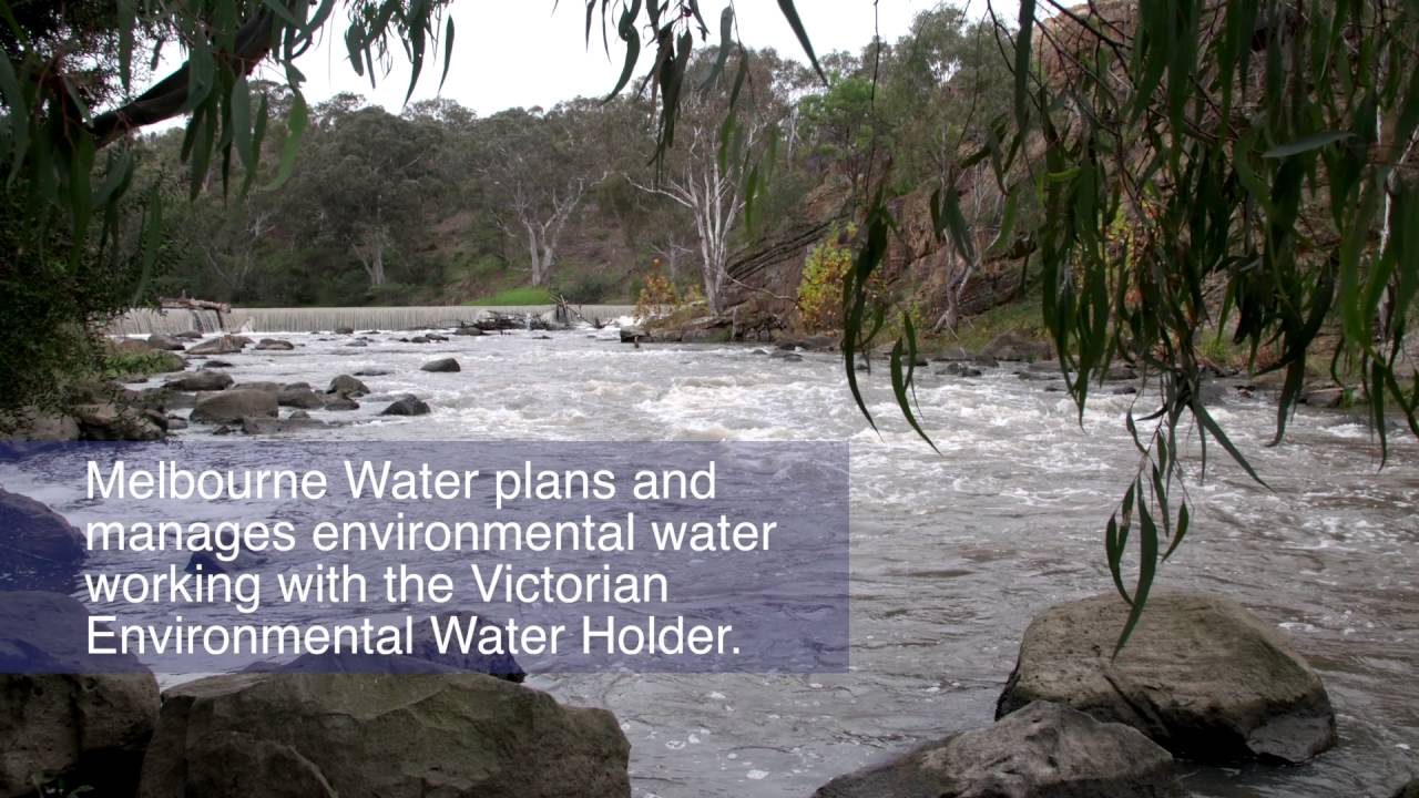 Environmental water release for Yarra River YouTube
