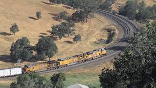 Union Pacific manifest train at the Tehachapi Loop