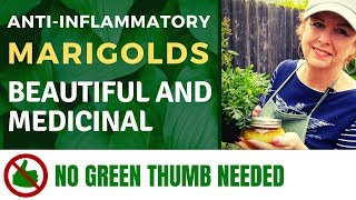 Making an Ointment - A Salve from Marigolds that Removes Inflammation - No Green Thumb Needed