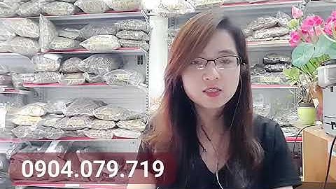 Cà gai leo kết hợp cây xạ đen có tác dụng gì?