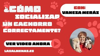 La forma CORRECTA de socializar a tu cachorro | Centro Canino Las Almenas