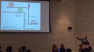Cliff Analogy of Health by Dr  Camara Jones