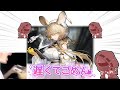 2秒でわかるドクターとドロシーガチャ【Arknights.exe】