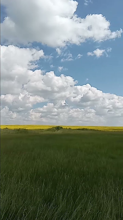 My beautiful country, 250729