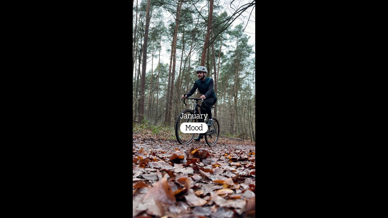 All I needed for 2026 was this! 🤫