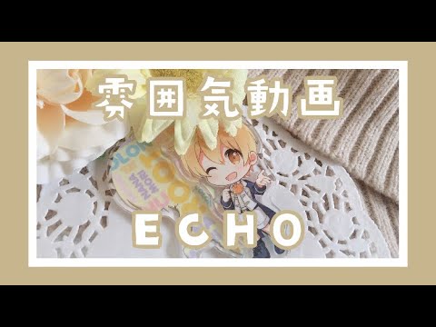 雰囲気動画┊ ECHO