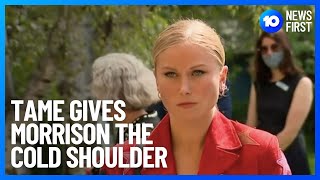 Awkward Encounter Between Grace Tame And Scott Morrison 10 News First