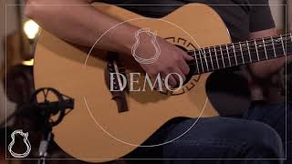 Somogyi OMC, European Spruce & Brazilian Rosewood | Lance Allen