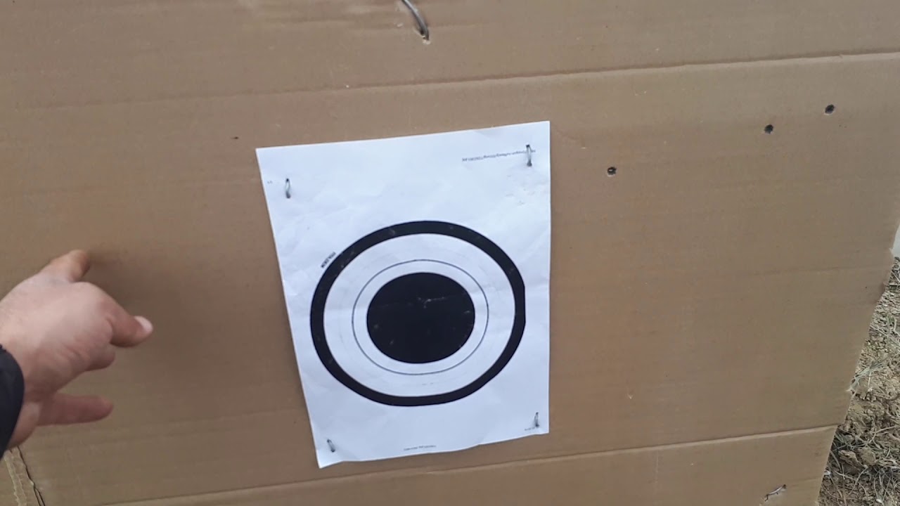 Мосина 1934 года стрельба на 600 метров с ПСО-1 патрон новосиб биметал двухэлементный 9.9 гр