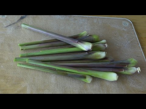 Video: Zitronengras pflücken: Wie man Zitronengras erntet