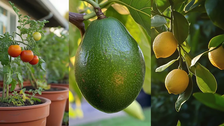 Tip 5: Everything But the Kitchen Sink (The Shed Show - Episode 4)