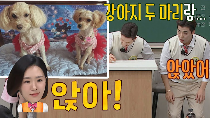 잔뜩 화난 이상화 ＂앉아!＂ 조용히 앉은 강남(KangNam)과... 강아지 두 마리?! ㅋㅋ 아는 형님(Knowing bros) 329회 | JTBC 220423 방송