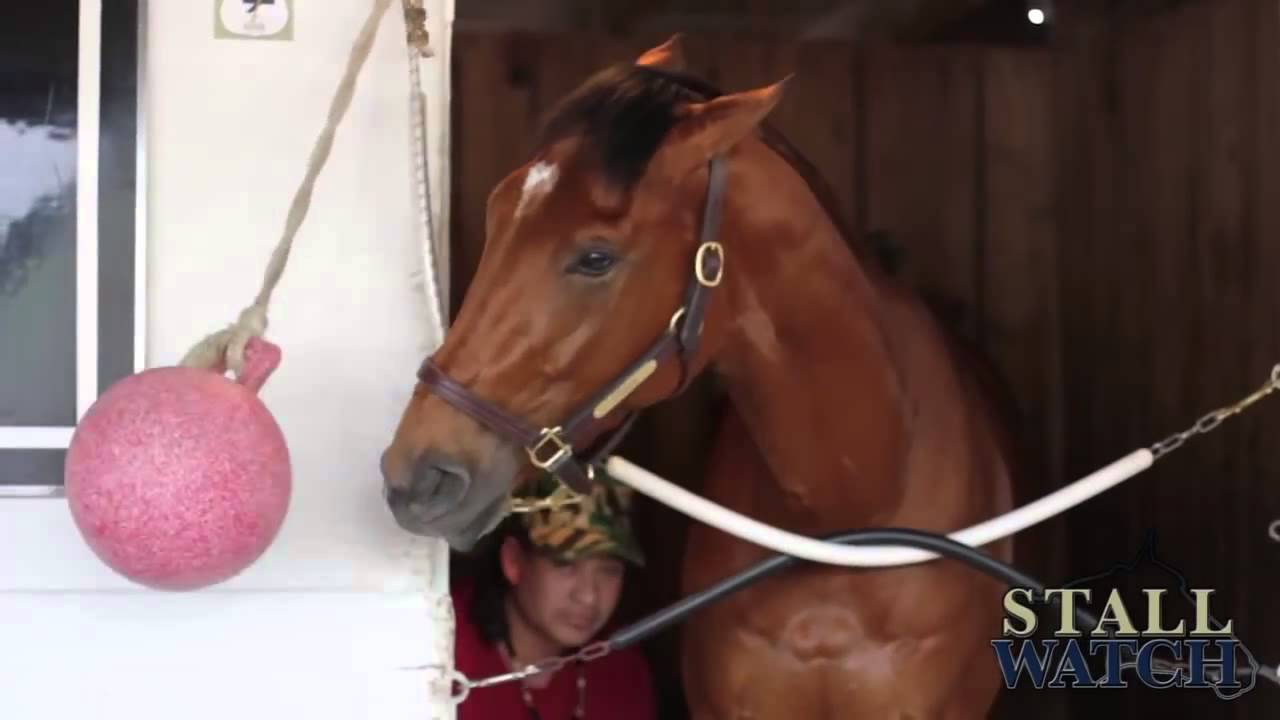 Vyjack at Churchill Downs with StallWatch