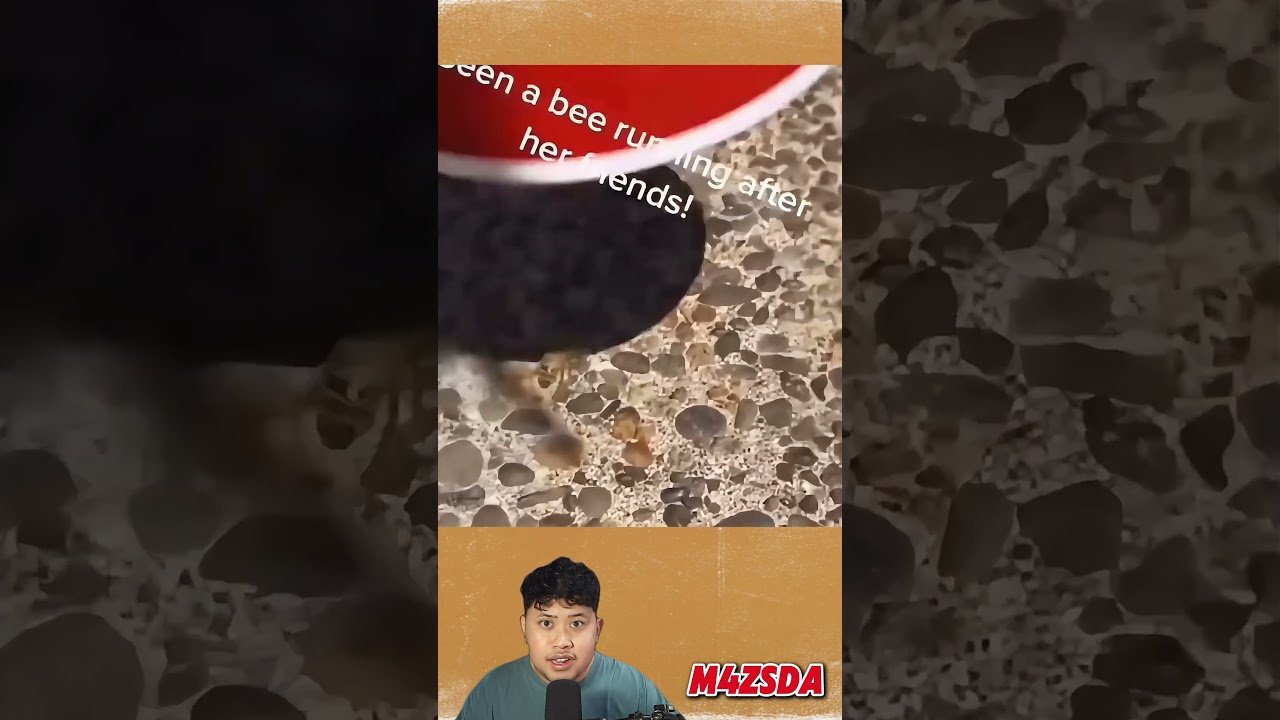 Viral! Beginilah Suara Dari Bahasa Serangga! #m4zsda #shortvideos #shorts #reaction