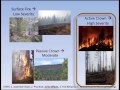 Assessing Fire Risks and Benefits at the Incident Level