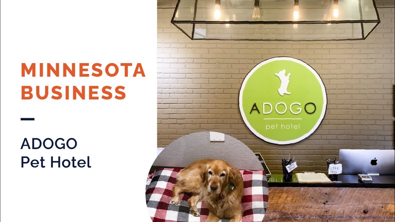 Minnesota Business Feature ADOGO Pet Hotel YouTube