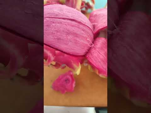 PEELING DRAGON FRUIT