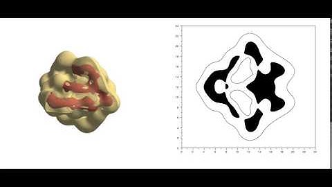 Tumor growth simulation (CSElab ETHZ)