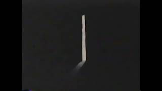 P Pals Surprise Logo