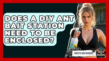 Does A DIY Ant Bait Station Need To Be Enclosed? - Insects and Invaders
