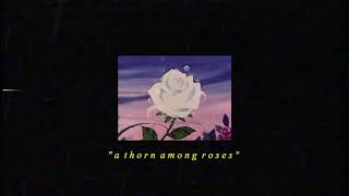 Kingsthorn - a thorn among roses