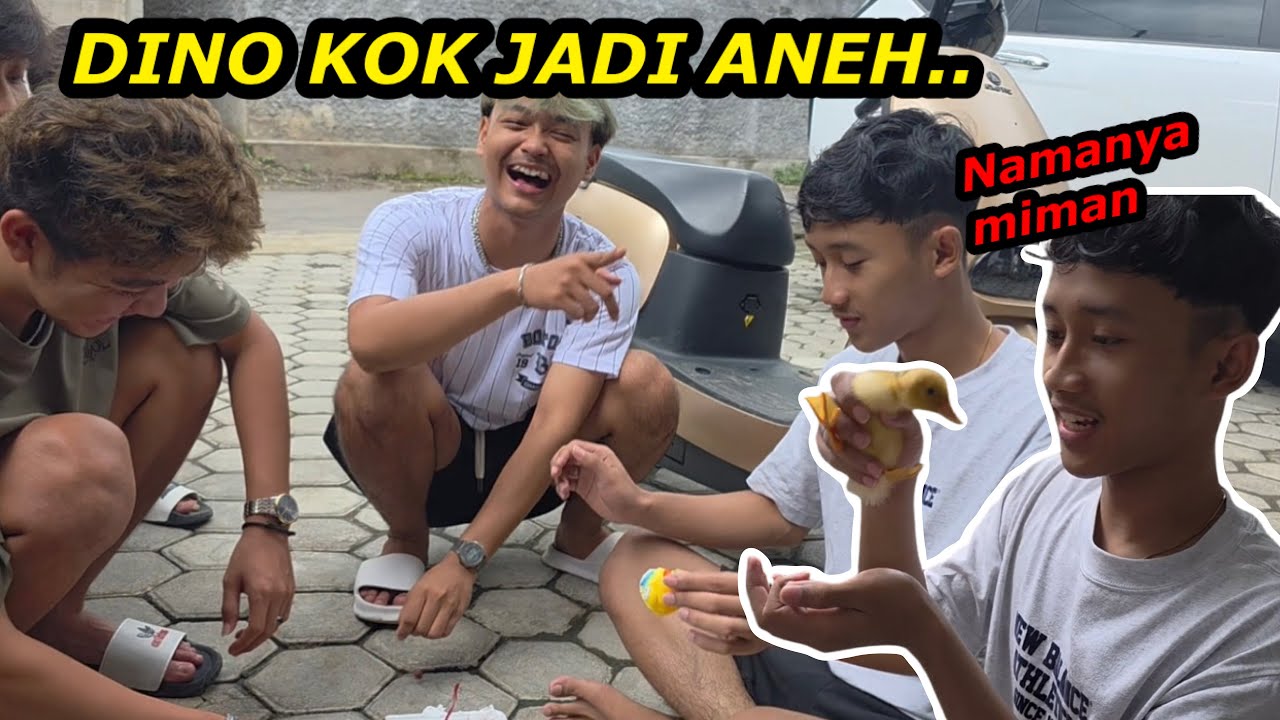 DINO KOK JADI ANEH