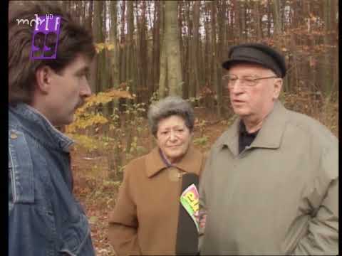 Elf99 Spezial:  Wandlitz - Einzug ins Paradies (DDR 1989)