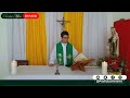 Santa Misa -En Vivo- XII Domingo del TO