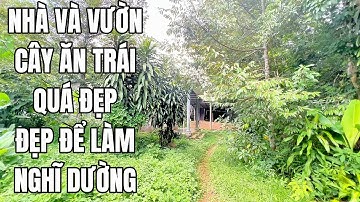 CÔ CHÚ LỚN TUỔI RỒI NÊN KHẢ NĂNG CHĂM VƯỜN KHÔNG NỔI NỮA NÊN QUYẾT TÂM BÁN MÃNH ĐẤT VƯỜN TÂM HUYẾT