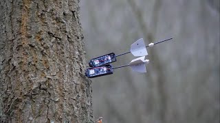 Celebrity Fleets of AI drones are helping protect our forests and much more Net Worth
