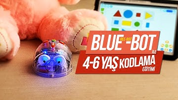 Blue-Bot ve Bee -Bot Tanıtımı 4-6 Yaş Anaokulu Kodlama Robotu