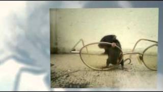 Pest control Layton UT (801) 589-8428