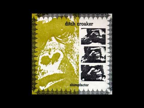 Ditch Croaker - Videohead