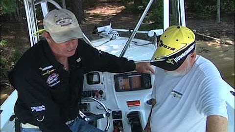 Ponytail Humminbird FINAL.mov