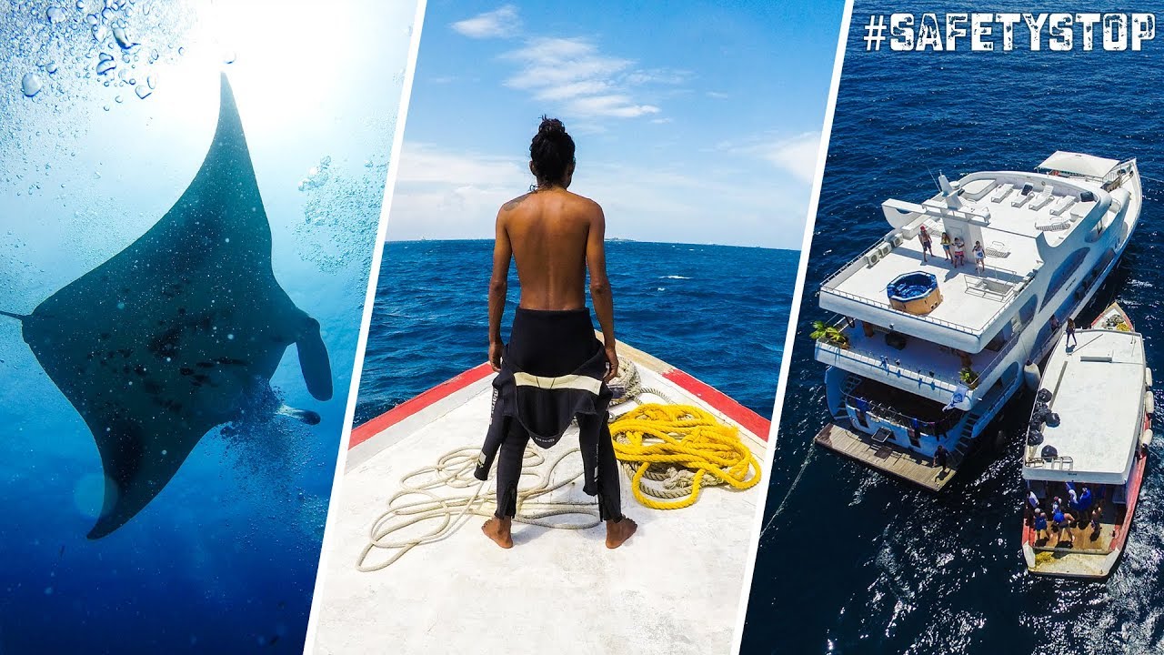 Дайвинг на Мальдивах | SAFETY STOP