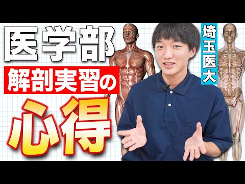 医学部生が解剖学実習のリアルをお伝えします。